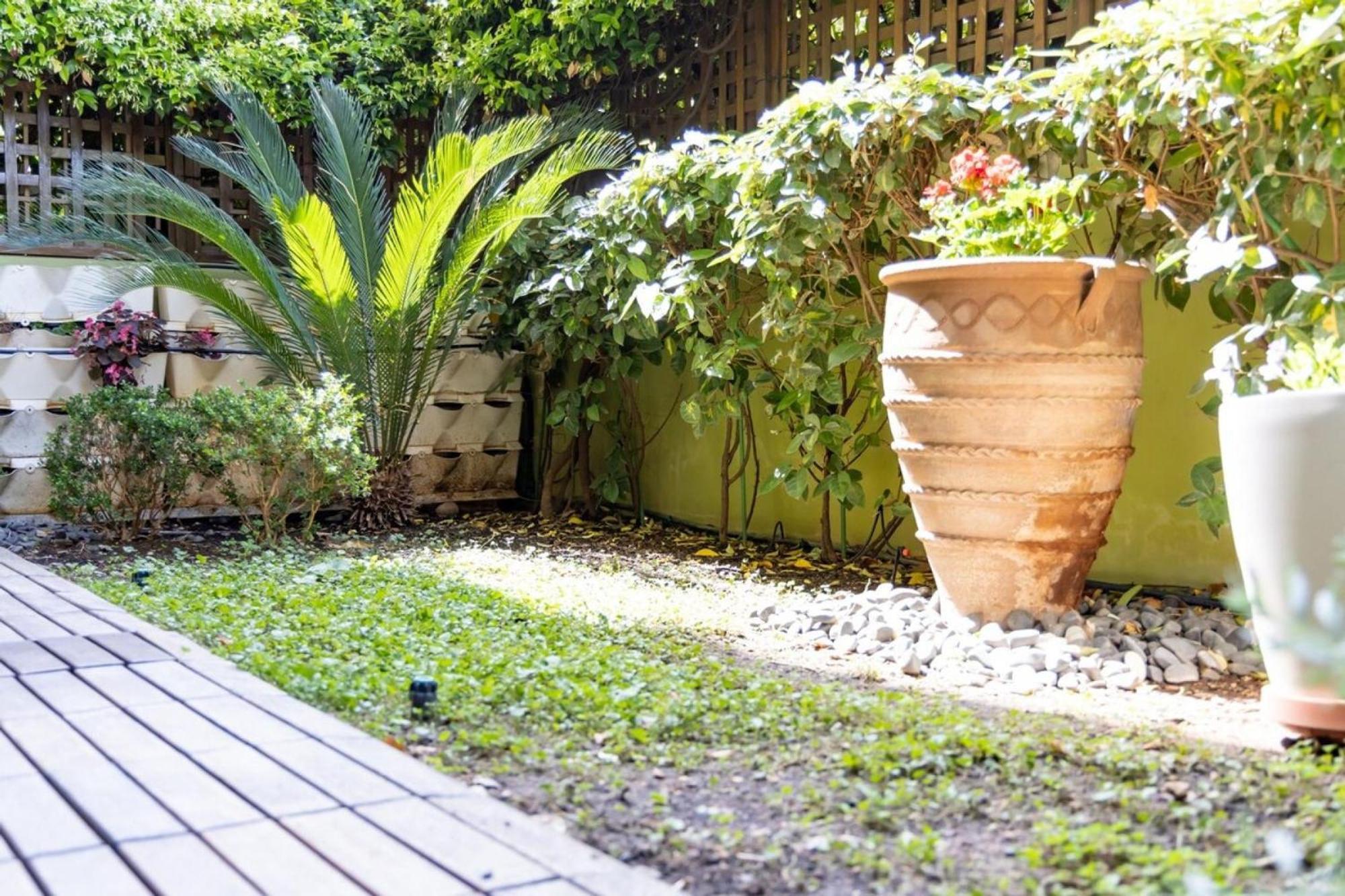 Apartamento The Garden House At Alimos Atenas Exterior foto
